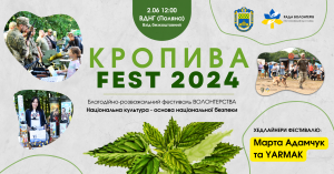 Фестиваль волонтерства Кропива Fest 2024 за підтримки Голосіївської РДА м. Києва