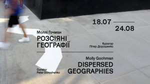Вулична інсталяція «Розсіяні географії» від Моллі Гочман