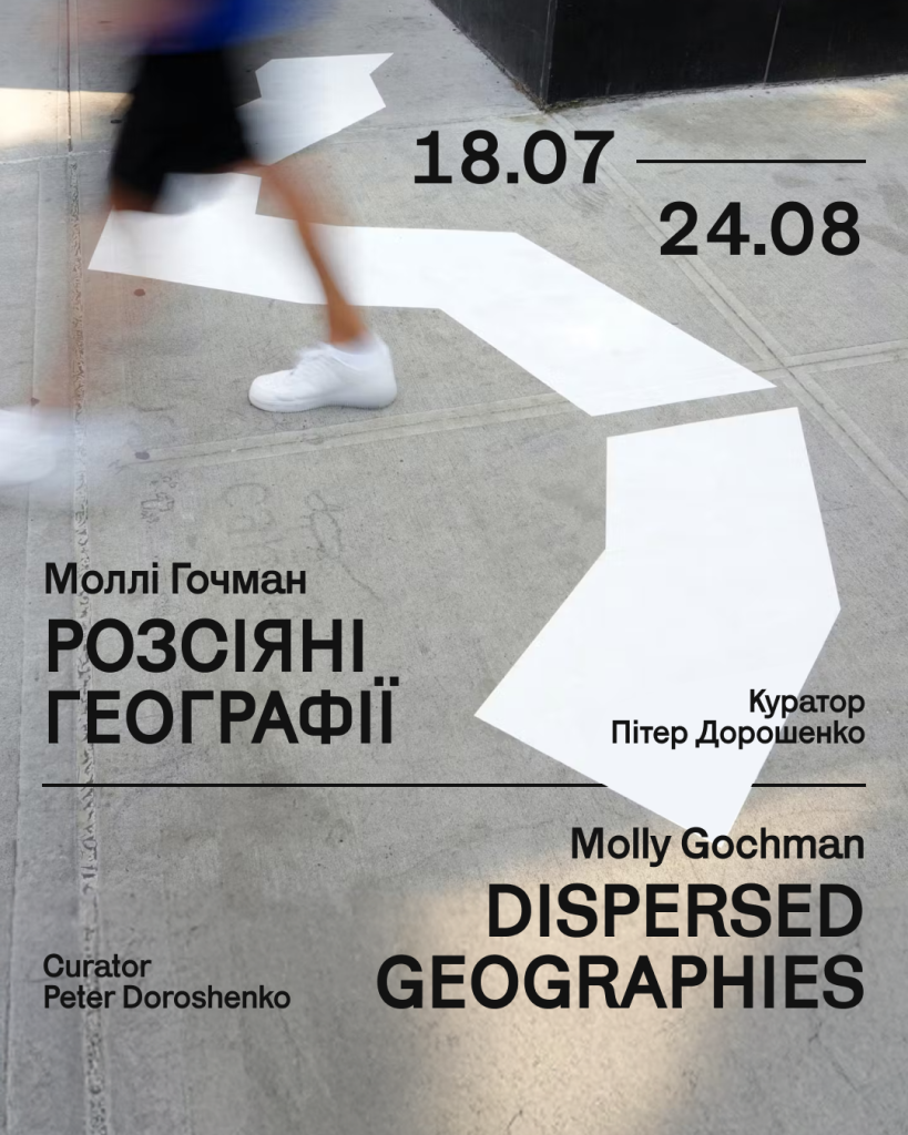 Вулична інсталяція «Розсіяні географії» від Моллі Гочман