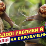 Садові равлики від Австралії на Євробаченні: чому “Eclipse” — це не завжди “катарсис”?