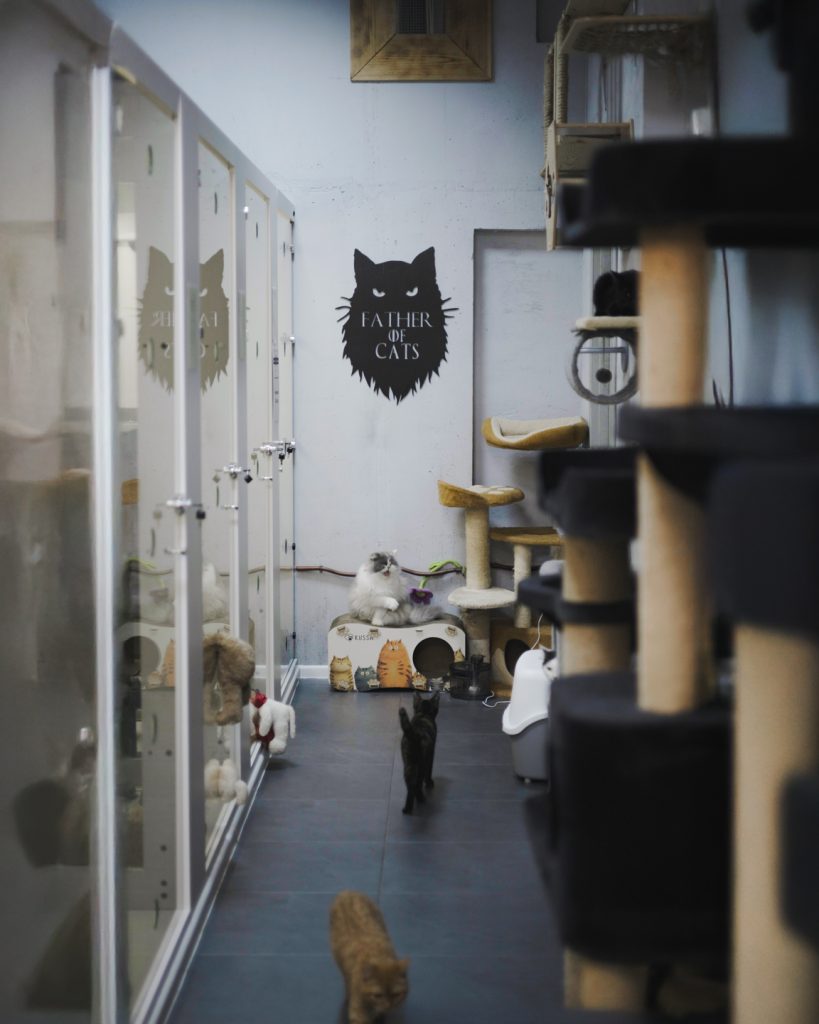 Lamarch запускає благодійну ініціативу для кОтОпарку