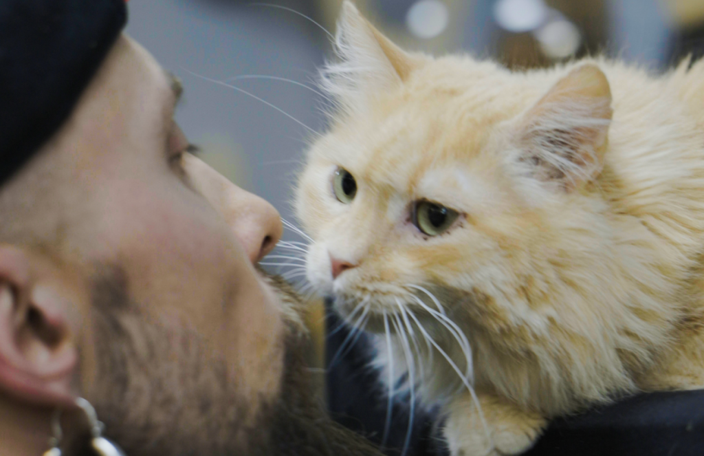 Lamarch запускає благодійну ініціативу для кОтОпарку