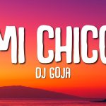 DJ Goja — Mi Chico (переклад українською)